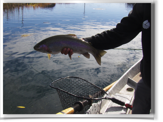 Fall River Rainbow